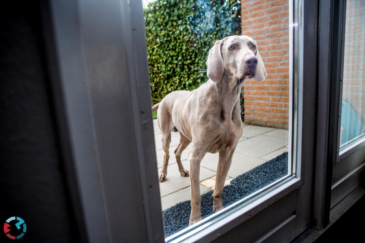Bruidsfotograaf Rosmalen