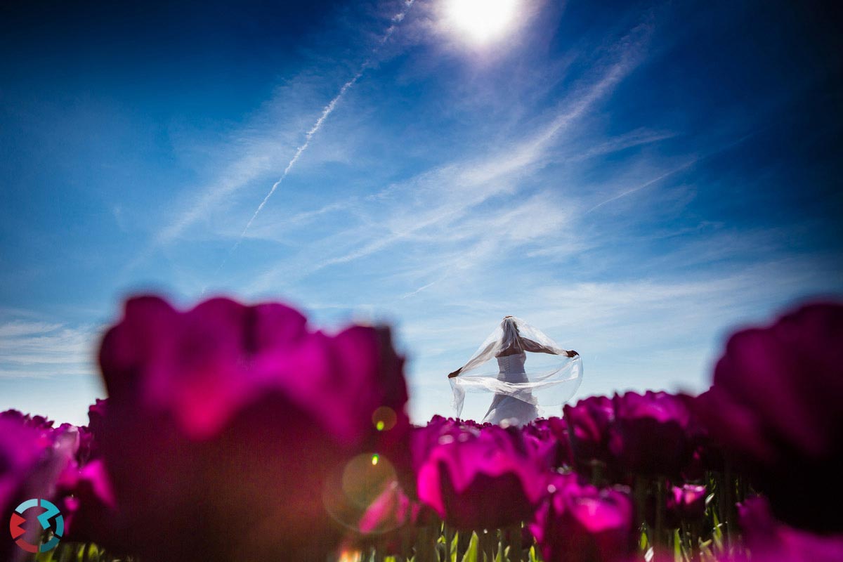 Trouwfotograaf Flevoland | kasteel de Vanenburg