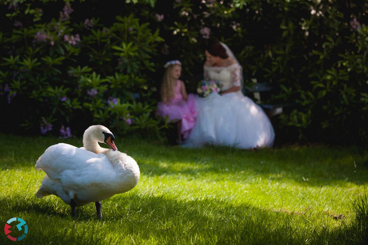 bruidsfotografen in Doorn | Helenaheuvel