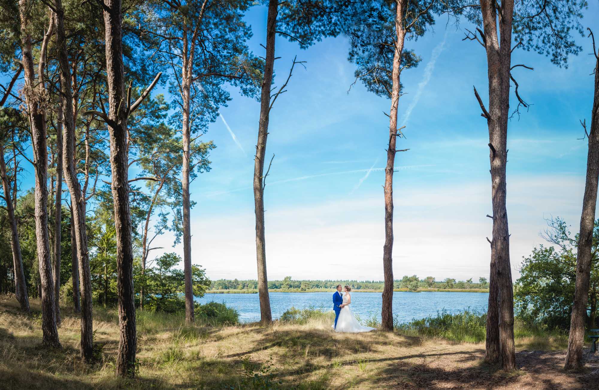 Header Bruidsfotograaf in Bergeijk op een wijngaard