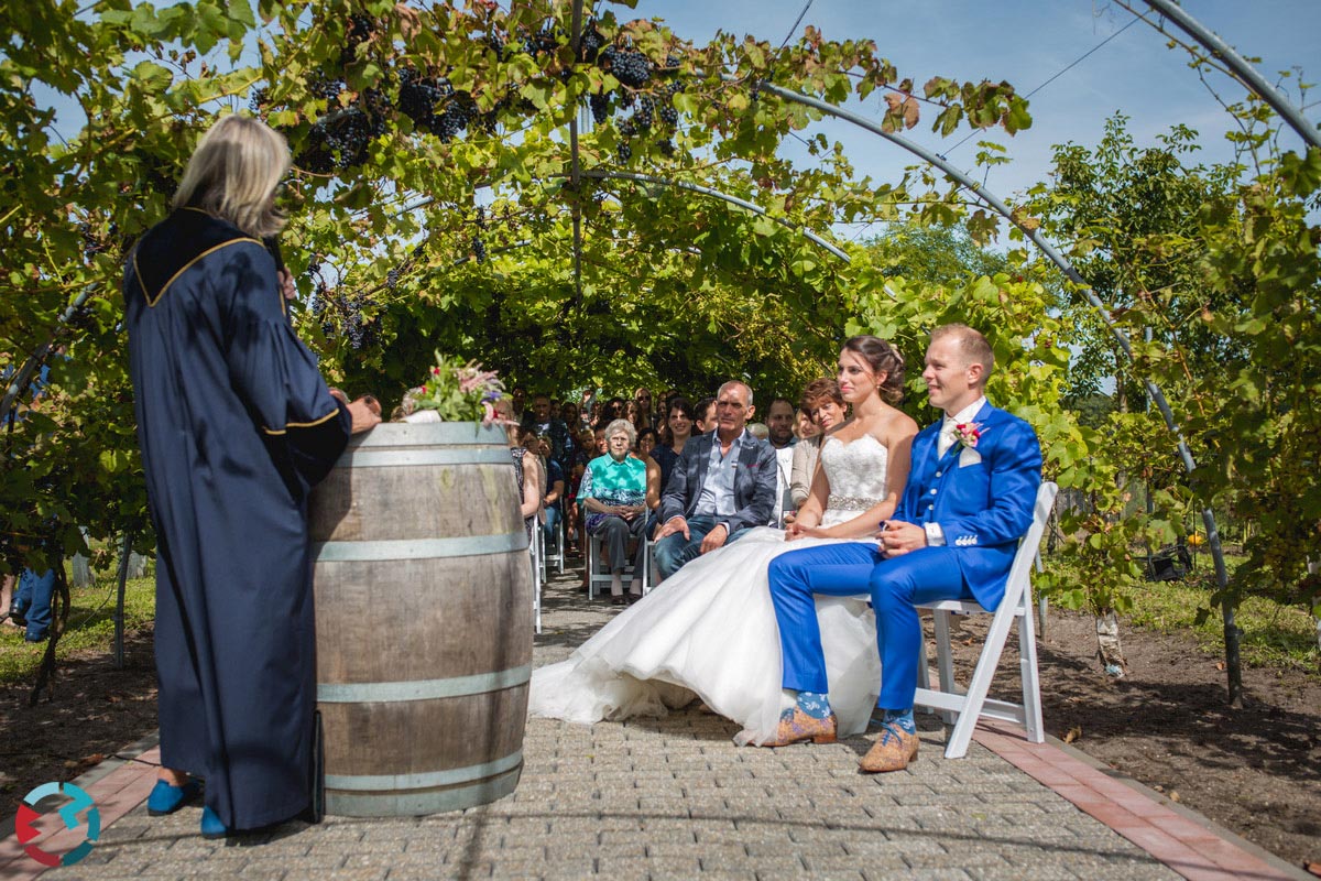 Bruidsfotograaf in Bergeijk op een wijngaard