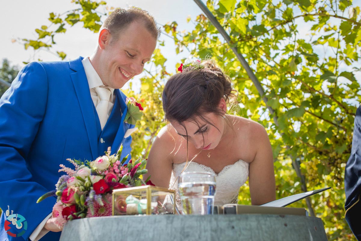 Bruidsfotograaf in Bergeijk op een wijngaard