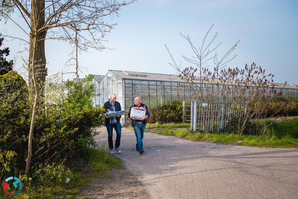 Bruidsfotograaf  Waalwijk