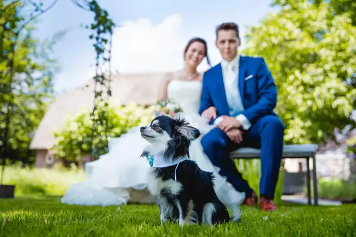 Thumbnail Bruidsfotograaf in Chaam