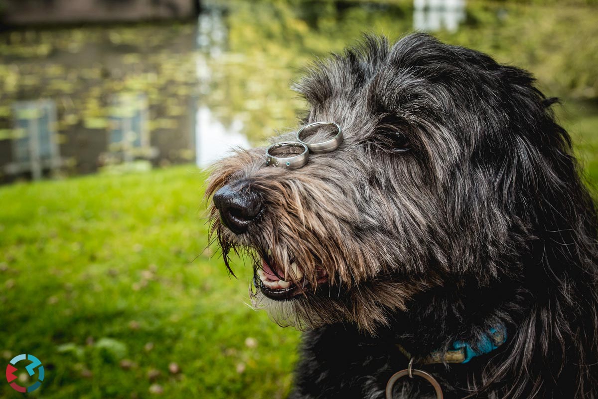 Bruidsfotograaf in Boxtel