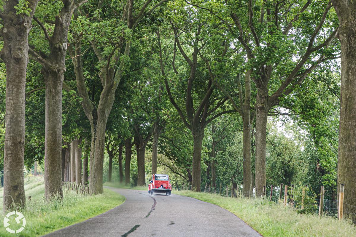 Trouwen op de fiets