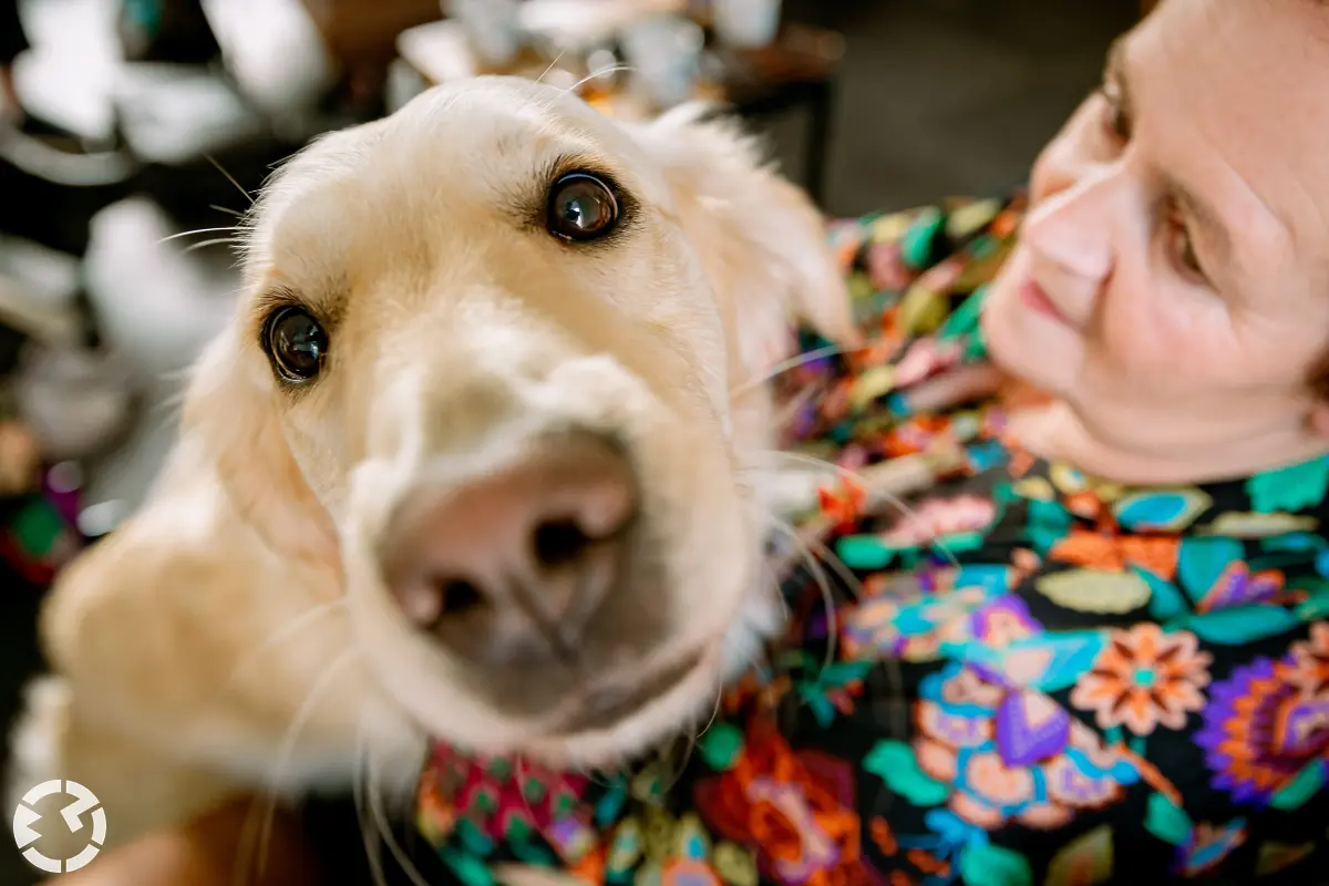 Hond bij vrouw op schoot komt heel dichtbij de cameralens met zijn neus.