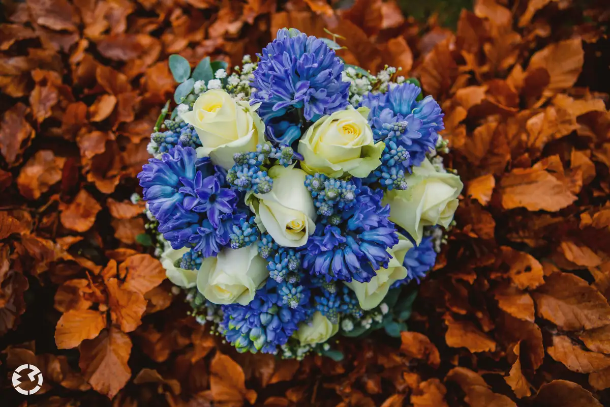 Fris winters bruidsboeket met hyacinten en witte rozen.