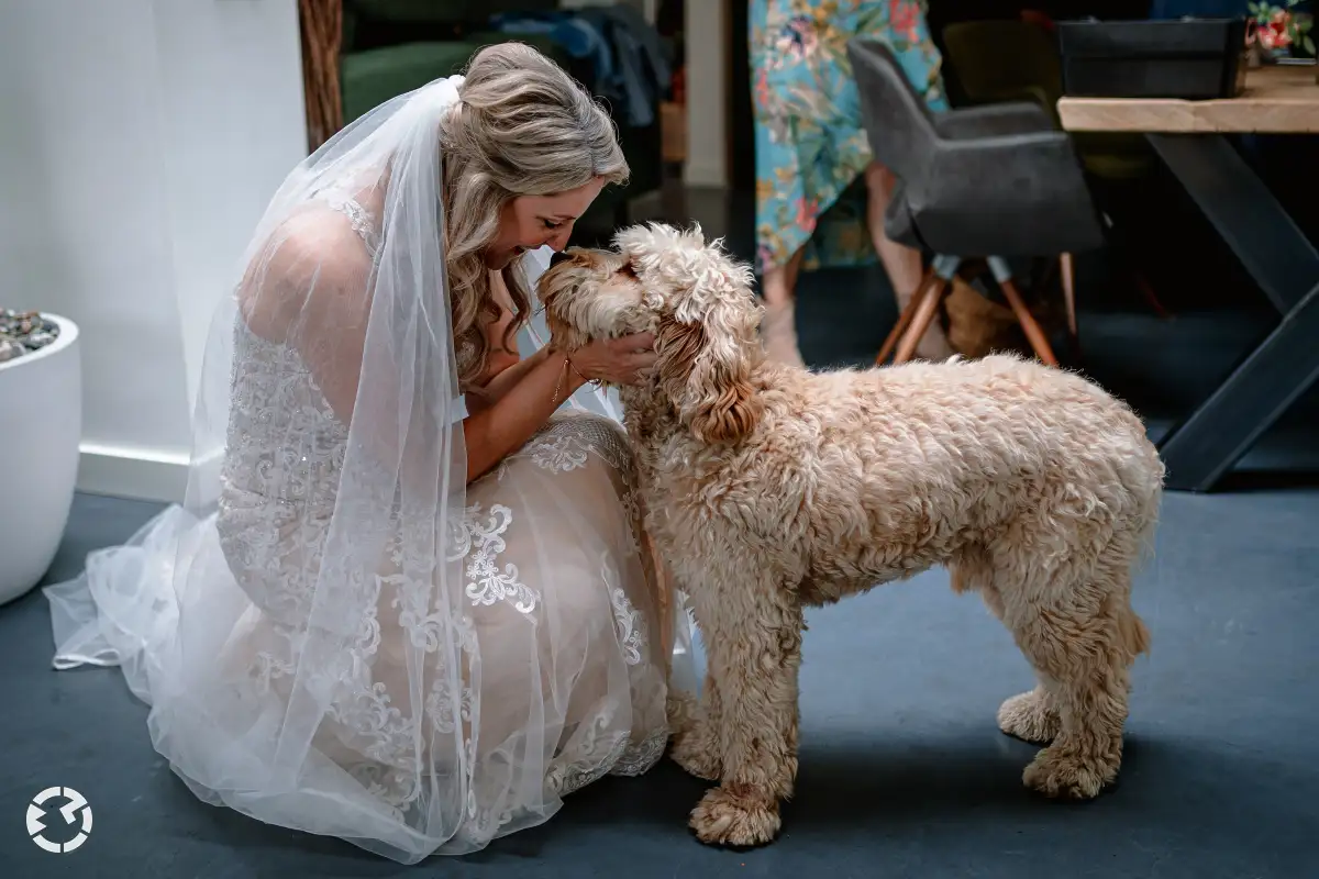 Bruid geeft gehurkt een knuffel aan haar hond.
