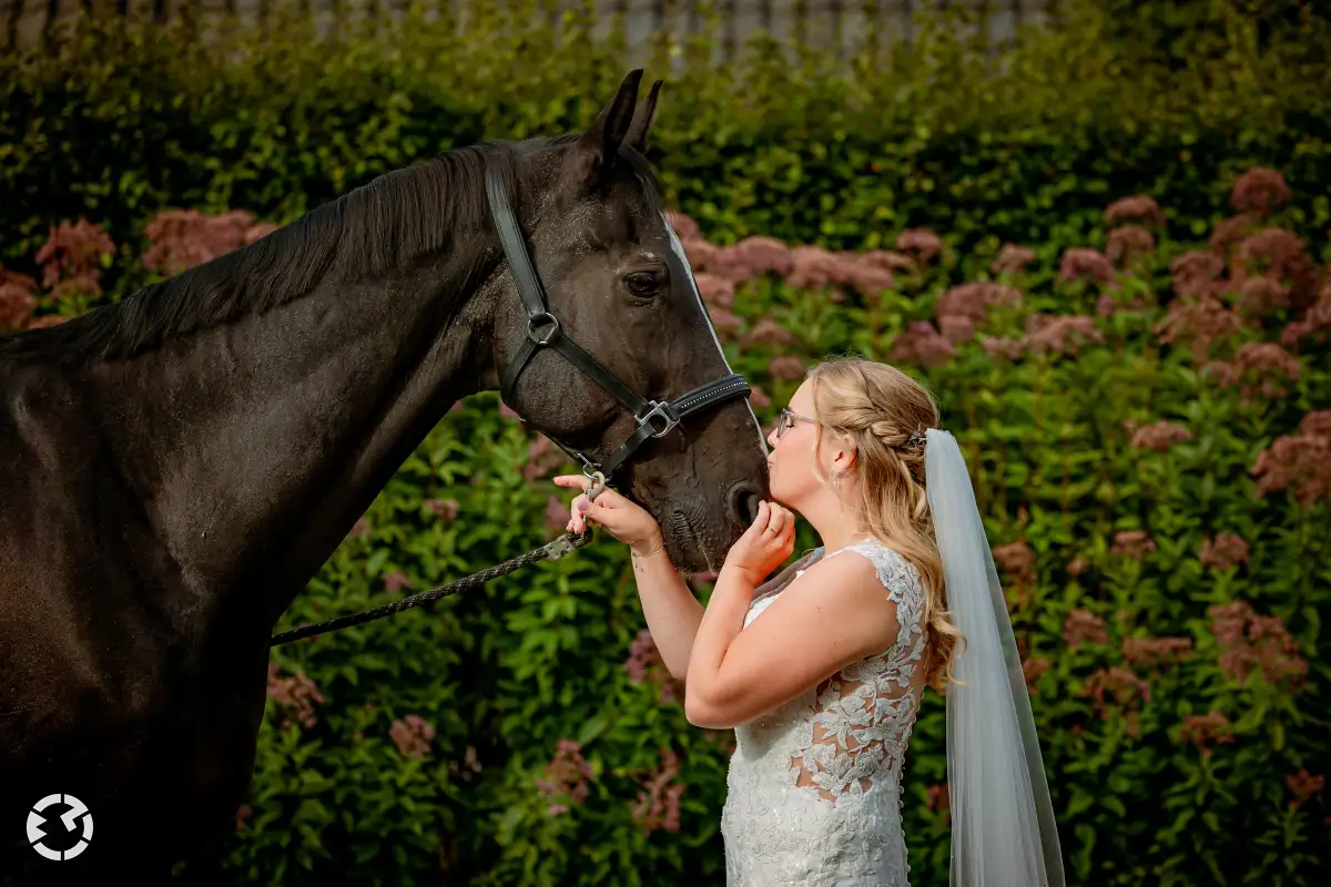 Huisdieren fotograferen wij natuurlijk ook op jullie bruiloft