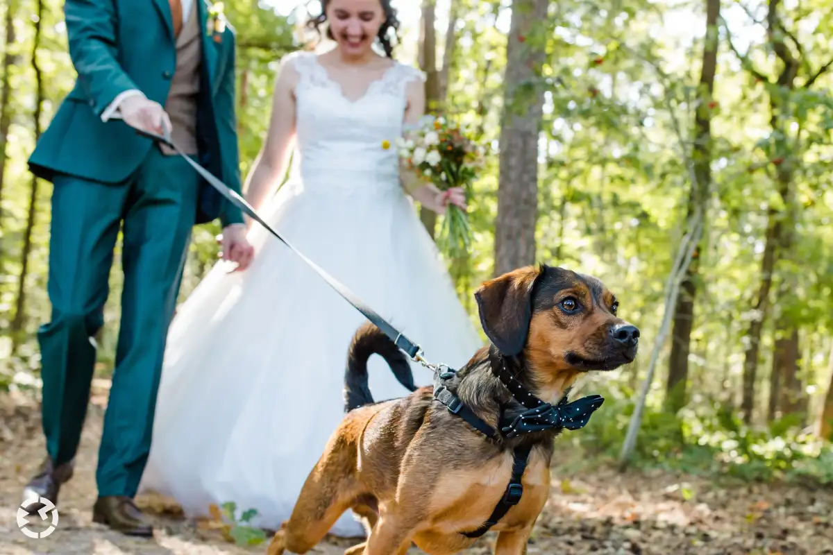 Lief hondje loopt voorop met het bruidspaar onscherp op de achtergrond.