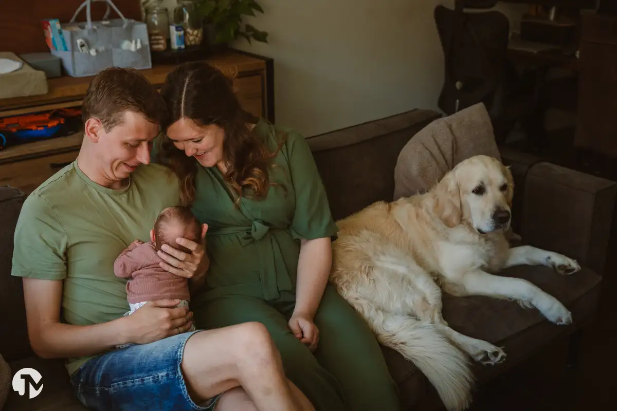 Newbornshoot aan huis met baby, ouders en golden retriever – gefotografeerd door fotograaf uit Brabant