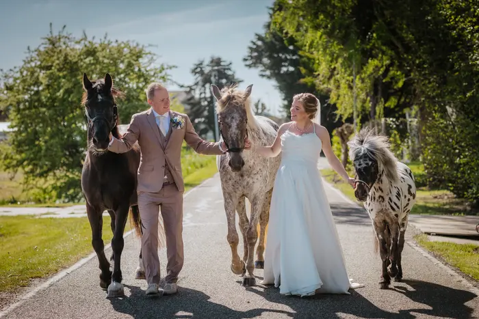 Bruidspaar loopt door boslaan in Leidschendam professionele fotografie