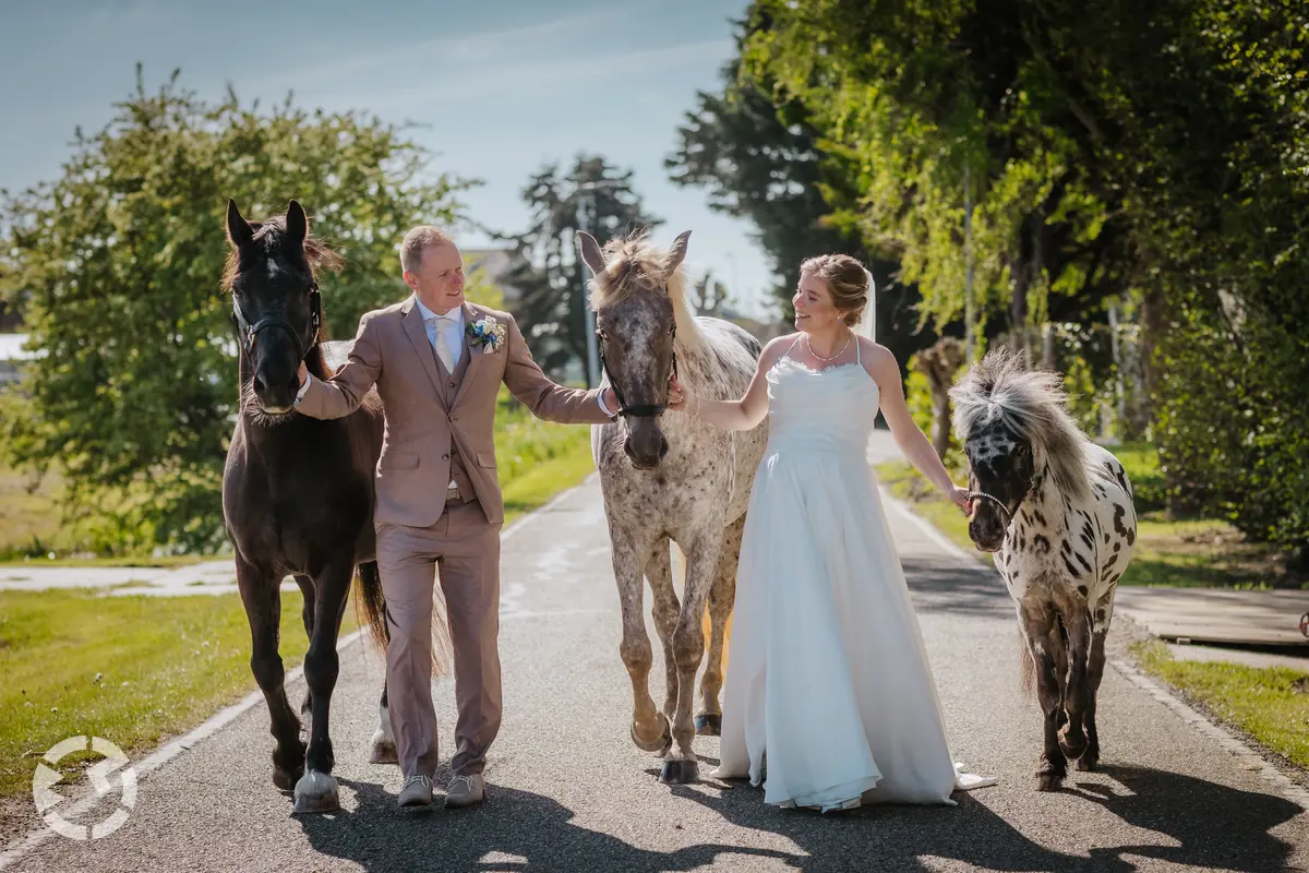 Bijzondere fotoreportage op een bruiloft met paarden in Zuidholland.