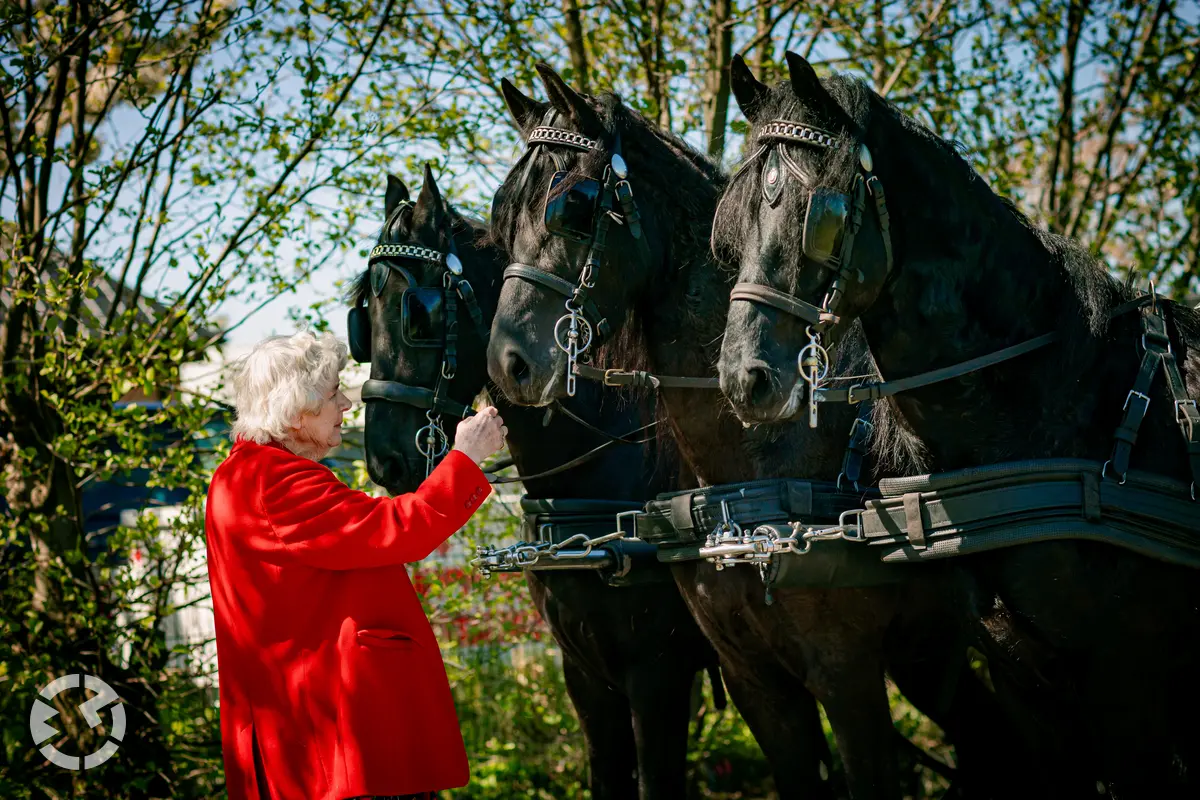 Bruidloft met paarden.