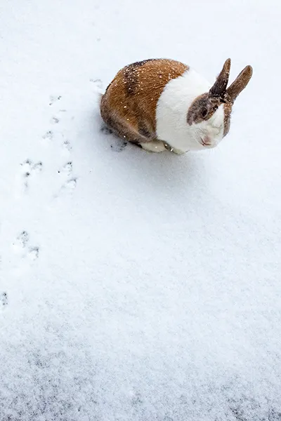 Fotograaf trouwfotograaf bruidsfotograaf Eindhoven Drunen Brabant