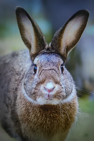 Fotograaf trouwfotograaf bruidsfotograaf Waalwijk Tilburg Den Bosch