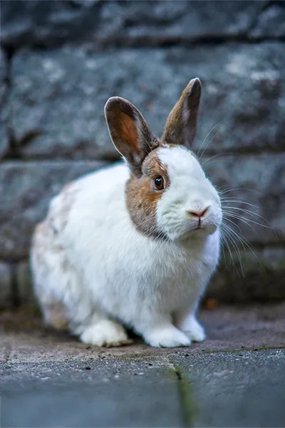 Fotograaf trouwfotograaf bruidsfotograaf Breda Kaatsheuvel Rotterdam