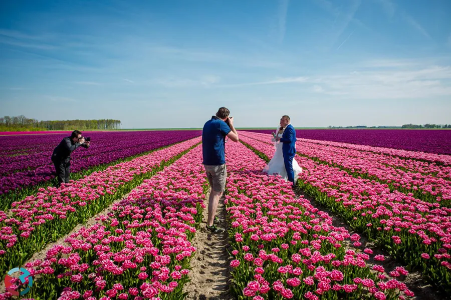 foto van ons aan het werk - achter de schermen 75