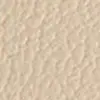 Sand Shell