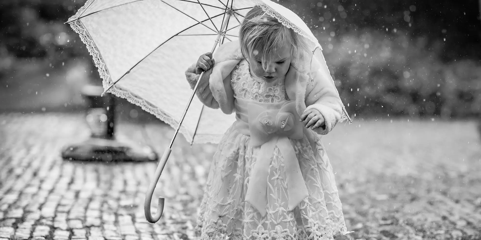 Journalistieke en pure bruidsfotografie, trouwfotograaf Met Licht Geschreven - Onze awards